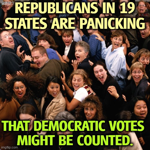 It was a nice democracy while it lasted. | REPUBLICANS IN 19 STATES ARE PANICKING; THAT DEMOCRATIC VOTES 
MIGHT BE COUNTED. | image tagged in republicans,fascists,democrats,democracy | made w/ Imgflip meme maker