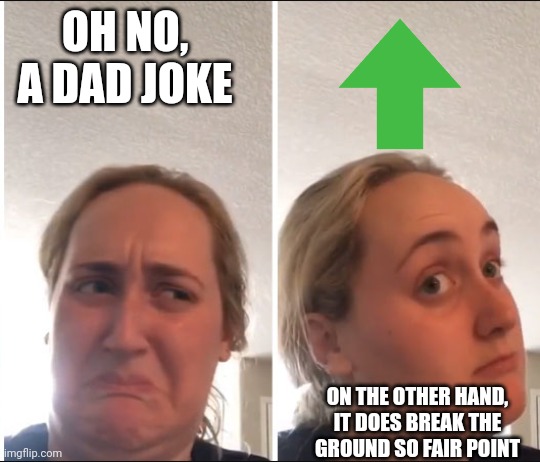 OH NO, A DAD JOKE ON THE OTHER HAND, IT DOES BREAK THE GROUND SO FAIR POINT | made w/ Imgflip meme maker