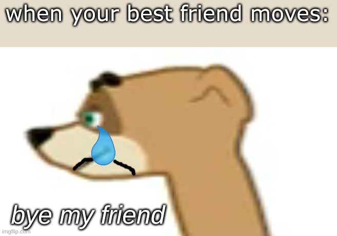 it happened to me before | when your best friend moves:; bye my friend | image tagged in fun,sad | made w/ Imgflip meme maker