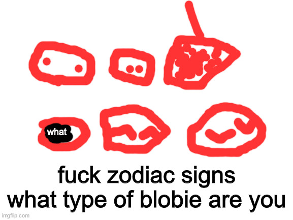 Blank White Template | what; fuck zodiac signs what type of blobie are you | image tagged in blank white template | made w/ Imgflip meme maker