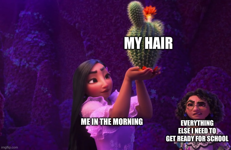 IT DOESNT LOOK RIGHT TBHKDTLLGTHOYJMRKGD *dies* | MY HAIR; EVERYTHING ELSE I NEED TO GET READY FOR SCHOOL; ME IN THE MORNING | image tagged in mirabel and isabella | made w/ Imgflip meme maker