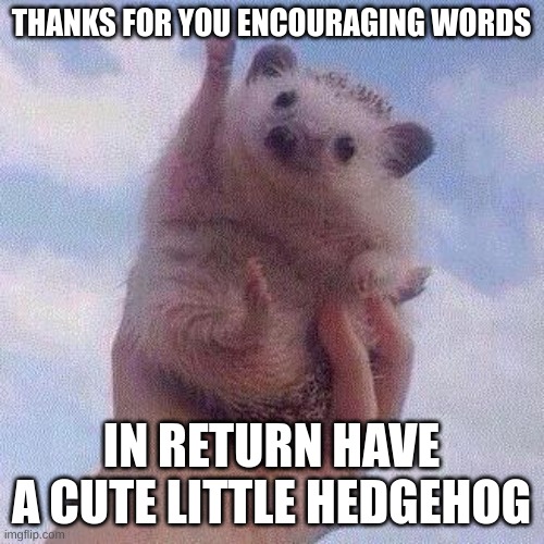 Encouraging Hedgehog | THANKS FOR YOU ENCOURAGING WORDS IN RETURN HAVE A CUTE LITTLE HEDGEHOG | image tagged in encouraging hedgehog | made w/ Imgflip meme maker