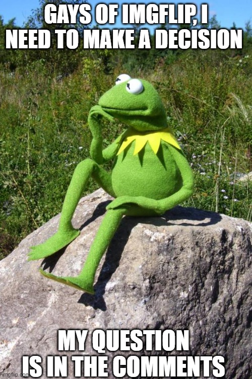 Kermit-thinking | GAYS OF IMGFLIP, I NEED TO MAKE A DECISION; MY QUESTION IS IN THE COMMENTS | image tagged in kermit-thinking | made w/ Imgflip meme maker