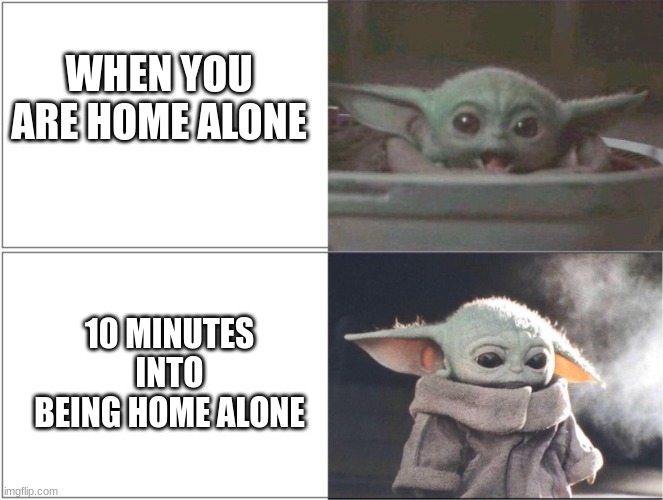 Home alone | WHEN YOU ARE HOME ALONE; 10 MINUTES INTO BEING HOME ALONE | image tagged in baby yoda happy then sad | made w/ Imgflip meme maker