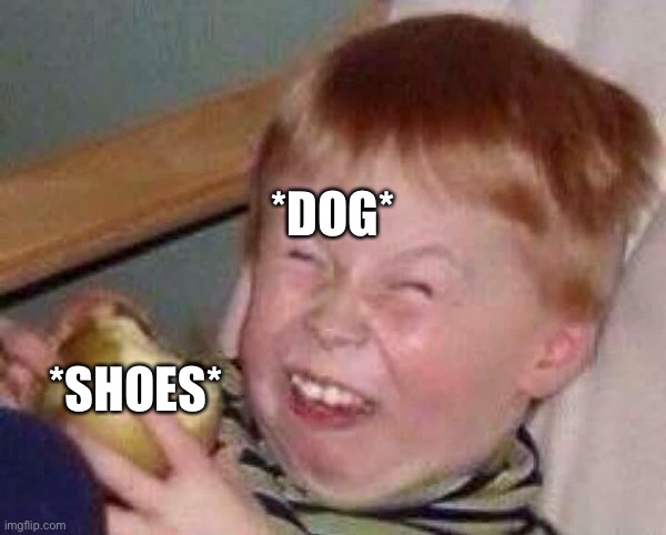 Apple eating kid | *SHOES* *DOG* | image tagged in apple eating kid | made w/ Imgflip meme maker