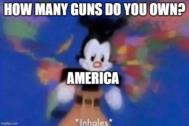 SO...MANY...GUNS!!! | HOW MANY GUNS DO YOU OWN? AMERICA | image tagged in inhales | made w/ Imgflip meme maker
