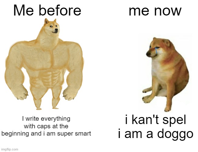 meow meow i am a dog | Me before; me now; I write everything with caps at the beginning and i am super smart; i kan't spel i am a doggo | image tagged in memes,buff doge vs cheems | made w/ Imgflip meme maker
