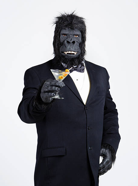 gorilla suit Blank Meme Template