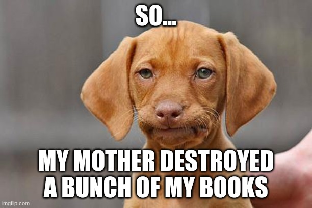 Even my journal, no less! | SO... MY MOTHER DESTROYED A BUNCH OF MY BOOKS | image tagged in dissapointed puppy,rant | made w/ Imgflip meme maker
