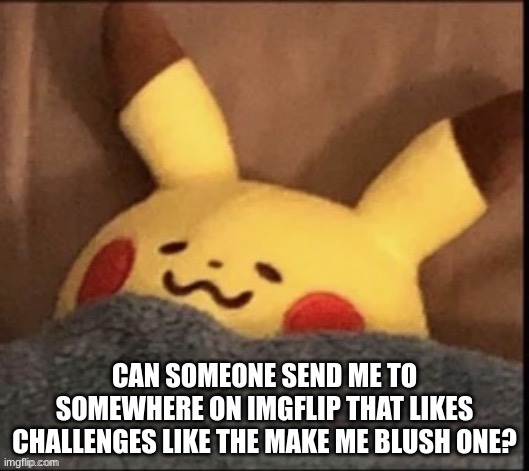 i sleep | CAN SOMEONE SEND ME TO SOMEWHERE ON IMGFLIP THAT LIKES CHALLENGES LIKE THE MAKE ME BLUSH ONE? | image tagged in i sleep | made w/ Imgflip meme maker