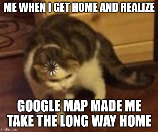 Loading cat | ME WHEN I GET HOME AND REALIZE; GOOGLE MAP MADE ME TAKE THE LONG WAY HOME | image tagged in loading cat | made w/ Imgflip meme maker