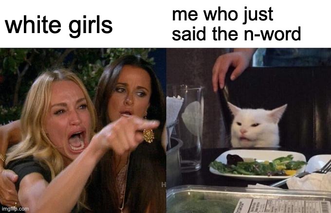 Woman Yelling At Cat | white girls; me who just said the n-word | image tagged in memes,woman yelling at cat | made w/ Imgflip meme maker