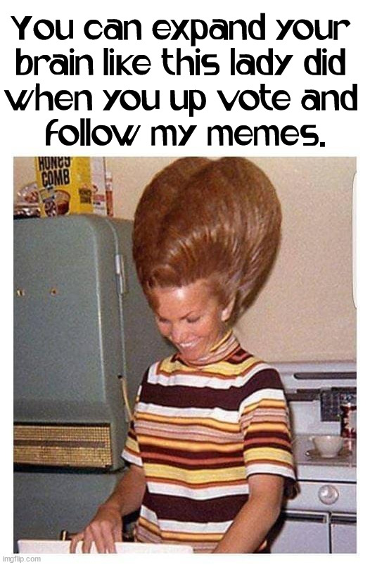You can expand your 
brain like this lady did 
when you up vote and 
follow my memes. | image tagged in who_am_i | made w/ Imgflip meme maker
