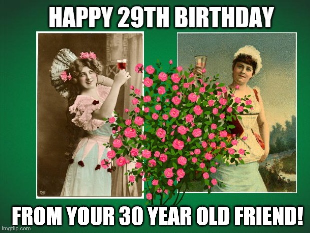Happy 29th Birthday | FROM YOUR 30 YEAR OLD FRIEND! | image tagged in happy 29th birthday memes,happy birthday memes,happy birthday to my friend,funny,funny memes,happy birthday for woman | made w/ Imgflip meme maker