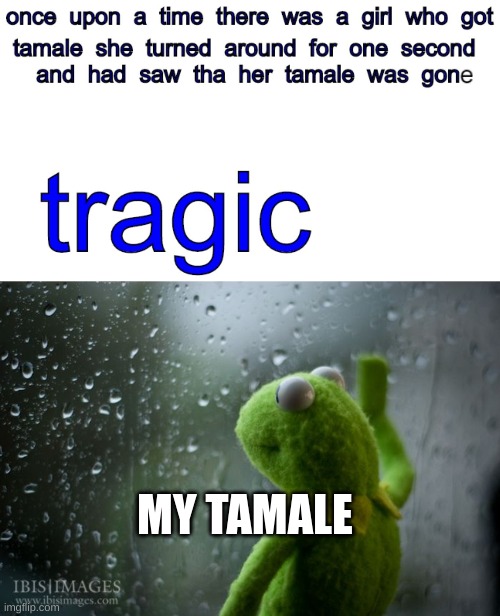 Tamale | MY TAMALE | image tagged in kermit window,funny,funny memes,memes,tragedy | made w/ Imgflip meme maker
