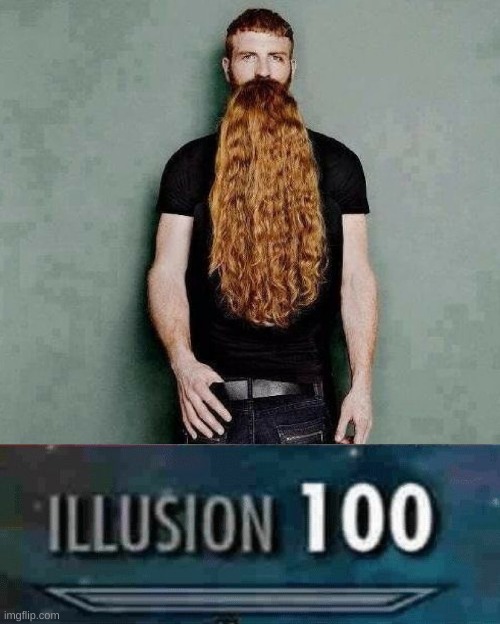 That is not a beard | image tagged in illusion 100,memes,funny,funny memes,optical illusion | made w/ Imgflip meme maker