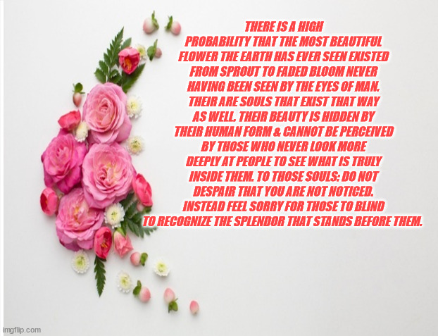 JD154 | THERE IS A HIGH PROBABILITY THAT THE MOST BEAUTIFUL FLOWER THE EARTH HAS EVER SEEN EXISTED FROM SPROUT TO FADED BLOOM NEVER HAVING BEEN SEEN BY THE EYES OF MAN. THEIR ARE SOULS THAT EXIST THAT WAY AS WELL. THEIR BEAUTY IS HIDDEN BY THEIR HUMAN FORM & CANNOT BE PERCEIVED BY THOSE WHO NEVER LOOK MORE DEEPLY AT PEOPLE TO SEE WHAT IS TRULY INSIDE THEM. TO THOSE SOULS: DO NOT DESPAIR THAT YOU ARE NOT NOTICED. INSTEAD FEEL SORRY FOR THOSE TO BLIND TO RECOGNIZE THE SPLENDOR THAT STANDS BEFORE THEM. | image tagged in philosophy | made w/ Imgflip meme maker