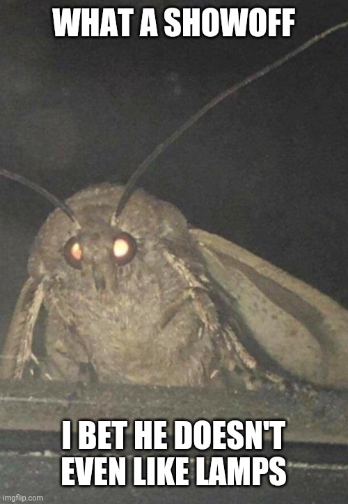 Moth | WHAT A SHOWOFF I BET HE DOESN'T EVEN LIKE LAMPS | image tagged in moth | made w/ Imgflip meme maker