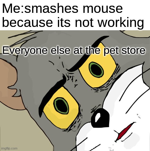 Unsettled Tom Meme | Me:smashes mouse because its not working; Everyone else at the pet store | image tagged in memes,unsettled tom | made w/ Imgflip meme maker