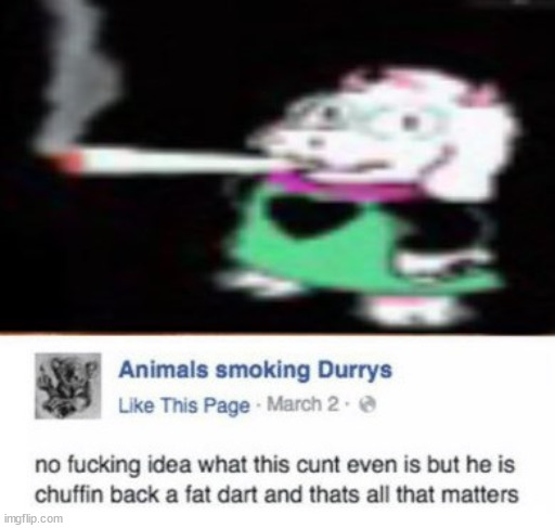 image tagged in chuffin,weed,smoke,smoke weed everyday,snoop dogg,marijuana | made w/ Imgflip meme maker