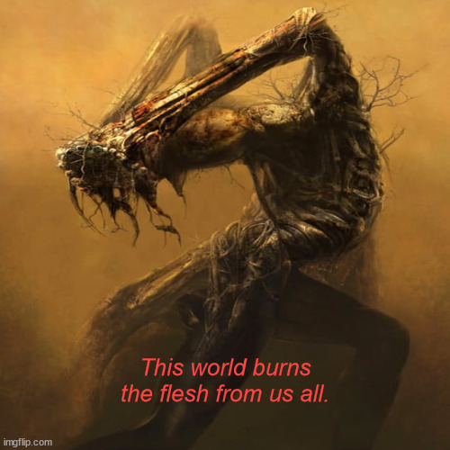 JD155 | This world burns the flesh from us all. | image tagged in philosophy | made w/ Imgflip meme maker
