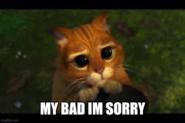 Apology Cat | MY BAD IM SORRY | image tagged in apology cat | made w/ Imgflip meme maker