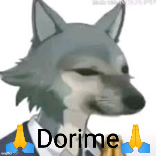 Legoshi Dorime | ?Dorime? | image tagged in legoshi dorime | made w/ Imgflip meme maker