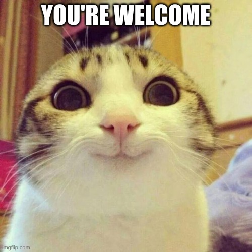 Smiling Cat Meme | YOU'RE WELCOME | image tagged in memes,smiling cat | made w/ Imgflip meme maker