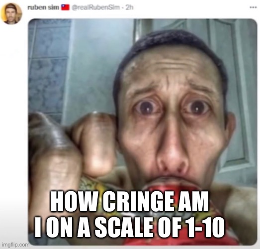 ruben sim :tw_flag: | HOW CRINGE AM I ON A SCALE OF 1-10 | image tagged in ruben sim | made w/ Imgflip meme maker