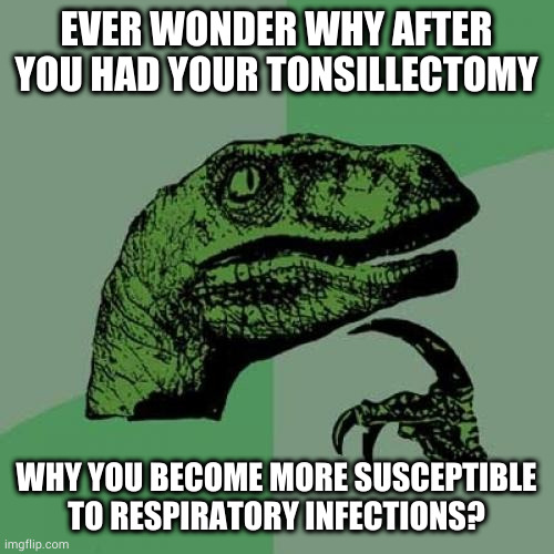Philosoraptor | EVER WONDER WHY AFTER YOU HAD YOUR TONSILLECTOMY; WHY YOU BECOME MORE SUSCEPTIBLE TO RESPIRATORY INFECTIONS? | image tagged in memes,philosoraptor | made w/ Imgflip meme maker