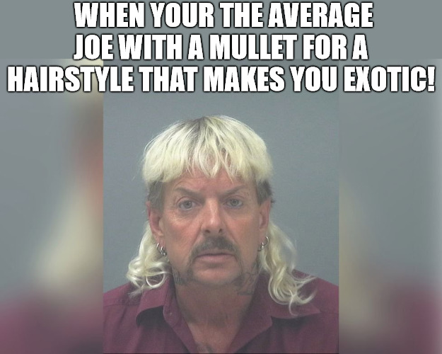 1980 | WHEN YOUR THE AVERAGE JOE WITH A MULLET FOR A HAIRSTYLE THAT MAKES YOU EXOTIC! | image tagged in joe exotic | made w/ Imgflip meme maker