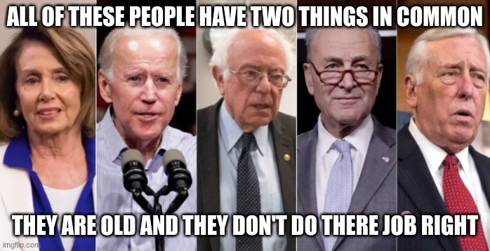 Two things in common |  ALL OF THESE PEOPLE HAVE TWO THINGS IN COMMON; THEY ARE OLD AND THEY DON'T DO THERE JOB RIGHT | image tagged in demorats,politics,joe biden,nancy pelosi,bernie sanders,democrat | made w/ Imgflip meme maker