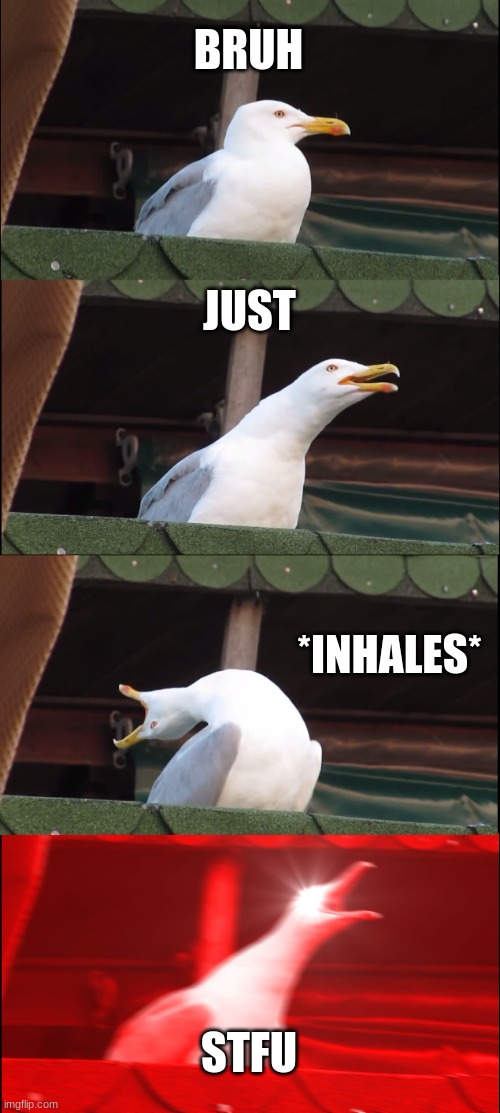 Inhaling Seagull Meme | BRUH JUST *INHALES* STFU | image tagged in memes,inhaling seagull | made w/ Imgflip meme maker