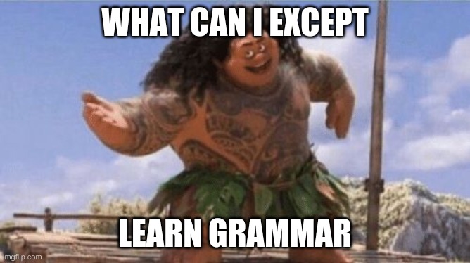 What Can I Say Except X? | WHAT CAN I EXCEPT LEARN GRAMMAR | image tagged in what can i say except x | made w/ Imgflip meme maker