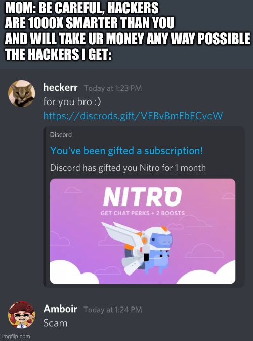 Real pic btw |  MOM: BE CAREFUL, HACKERS ARE 1000X SMARTER THAN YOU AND WILL TAKE UR MONEY ANY WAY POSSIBLE
THE HACKERS I GET: | image tagged in hackers | made w/ Imgflip meme maker