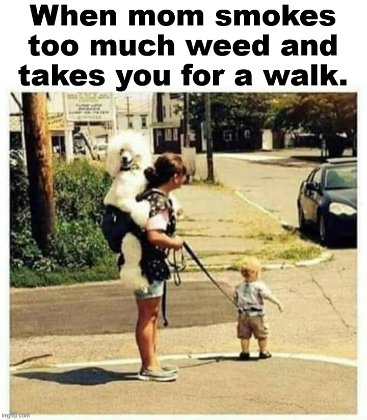Wrong spots mom | When mom smokes too much weed and takes you for a walk. | image tagged in weed,walking | made w/ Imgflip meme maker