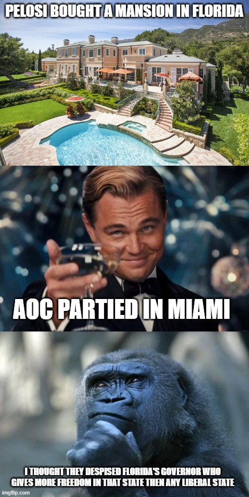 Hypocrisy once again for the Democrats... |  PELOSI BOUGHT A MANSION IN FLORIDA; AOC PARTIED IN MIAMI; I THOUGHT THEY DESPISED FLORIDA'S GOVERNOR WHO GIVES MORE FREEDOM IN THAT STATE THEN ANY LIBERAL STATE | image tagged in beach mansion,memes,leonardo dicaprio cheers,deep thoughts | made w/ Imgflip meme maker