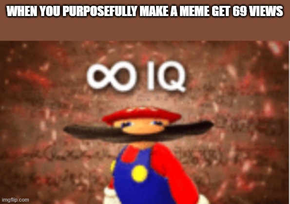 Infinite IQ | WHEN YOU PURPOSEFULLY MAKE A MEME GET 69 VIEWS | image tagged in infinite iq | made w/ Imgflip meme maker