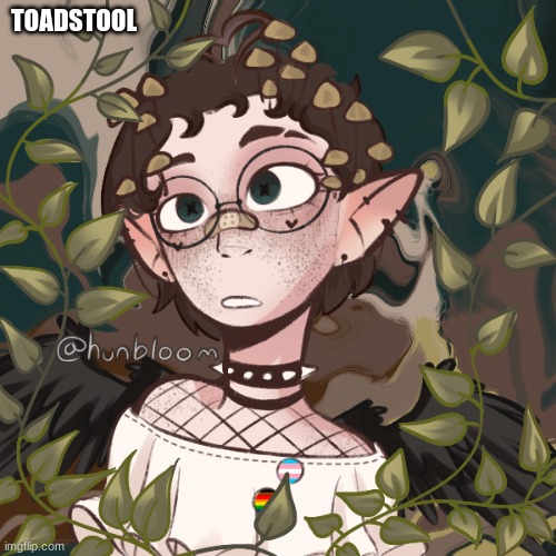 TOADSTOOL | made w/ Imgflip meme maker