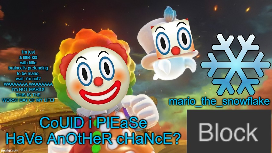 MarioTheSnowflake's official temp | CoUlD i PlEaSe HaVe AnOtHeR cHaNcE? | image tagged in mariothesnowflake's official temp | made w/ Imgflip meme maker