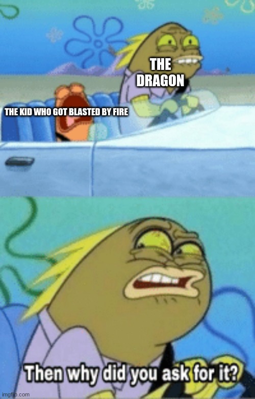 then why did you ask for it | THE DRAGON THE KID WHO GOT BLASTED BY FIRE | image tagged in then why did you ask for it | made w/ Imgflip meme maker