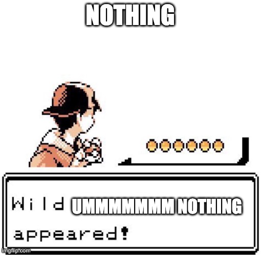 Blank Wild Pokemon Appears | NOTHING; UMMMMMMM NOTHING | image tagged in blank wild pokemon appears | made w/ Imgflip meme maker