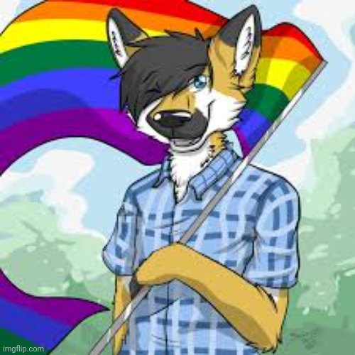 Found this on Google | image tagged in furry,lgbtq,pride | made w/ Imgflip meme maker