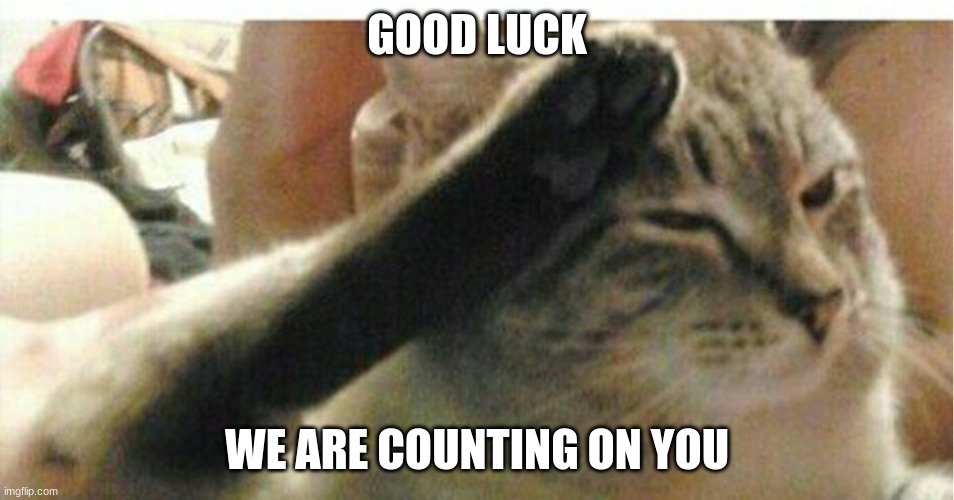 Cat of Honor | GOOD LUCK WE ARE COUNTING ON YOU | image tagged in cat of honor | made w/ Imgflip meme maker