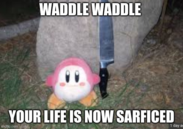 WADDLE WADDLE; YOUR LIFE IS NOW SARFICED | image tagged in run | made w/ Imgflip meme maker