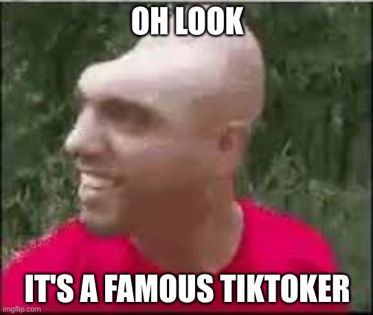 Dishweed | OH LOOK; IT'S A FAMOUS TIKTOKER | image tagged in dishweed | made w/ Imgflip meme maker