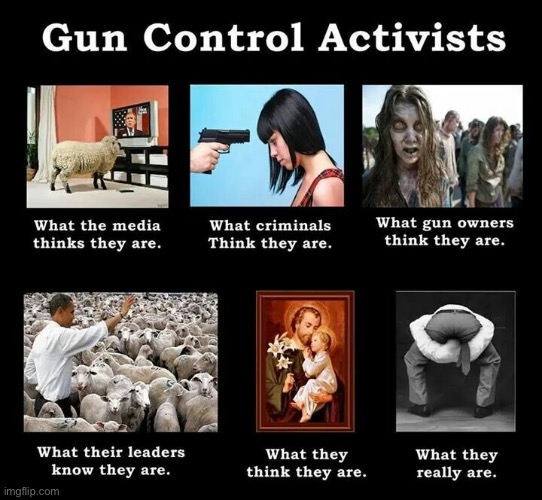 So true though | image tagged in guns | made w/ Imgflip meme maker