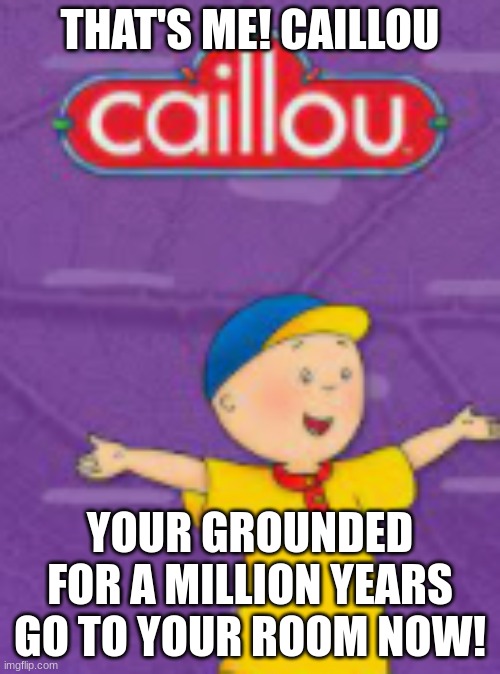 caillou gets grounded |  THAT'S ME! CAILLOU; YOUR GROUNDED FOR A MILLION YEARS GO TO YOUR ROOM NOW! | image tagged in caillou | made w/ Imgflip meme maker