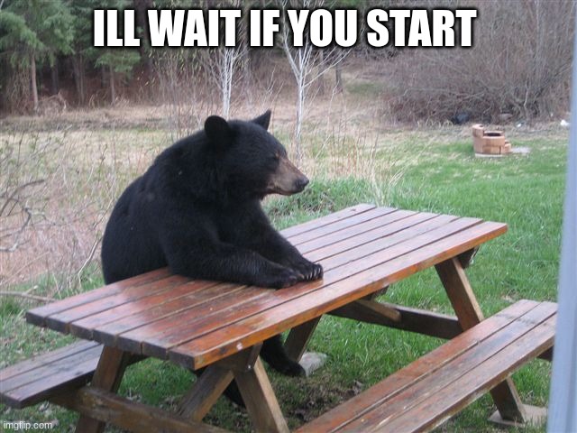 Patient Bear | ILL WAIT IF YOU START | image tagged in patient bear | made w/ Imgflip meme maker