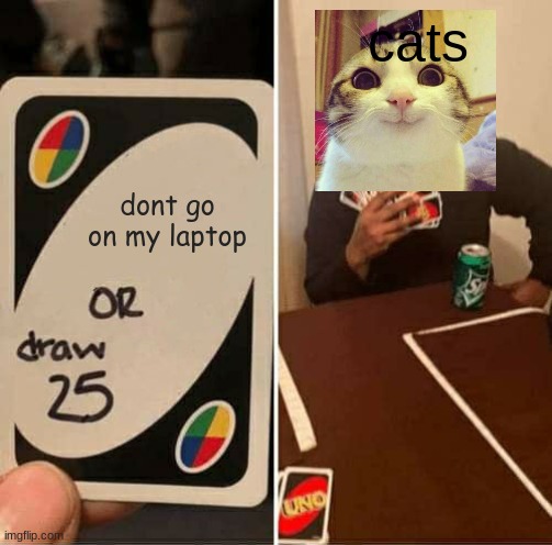 UNO Draw 25 Cards | cats; dont go on my laptop | image tagged in memes,uno draw 25 cards | made w/ Imgflip meme maker